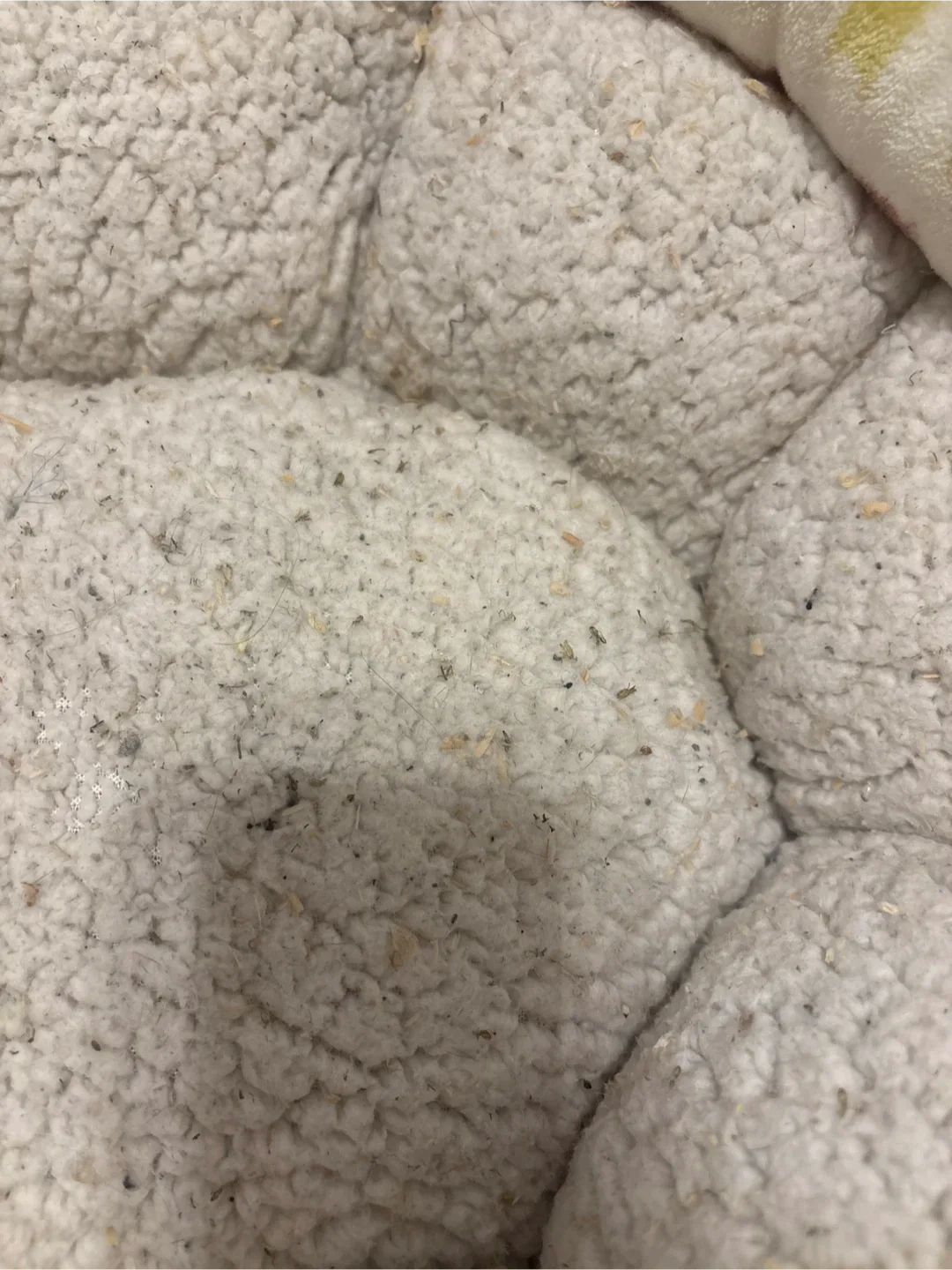 Round Pet Bed image indicator(3)