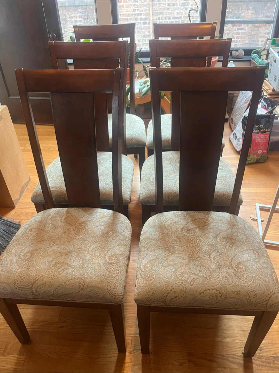 6 Dining Chairs