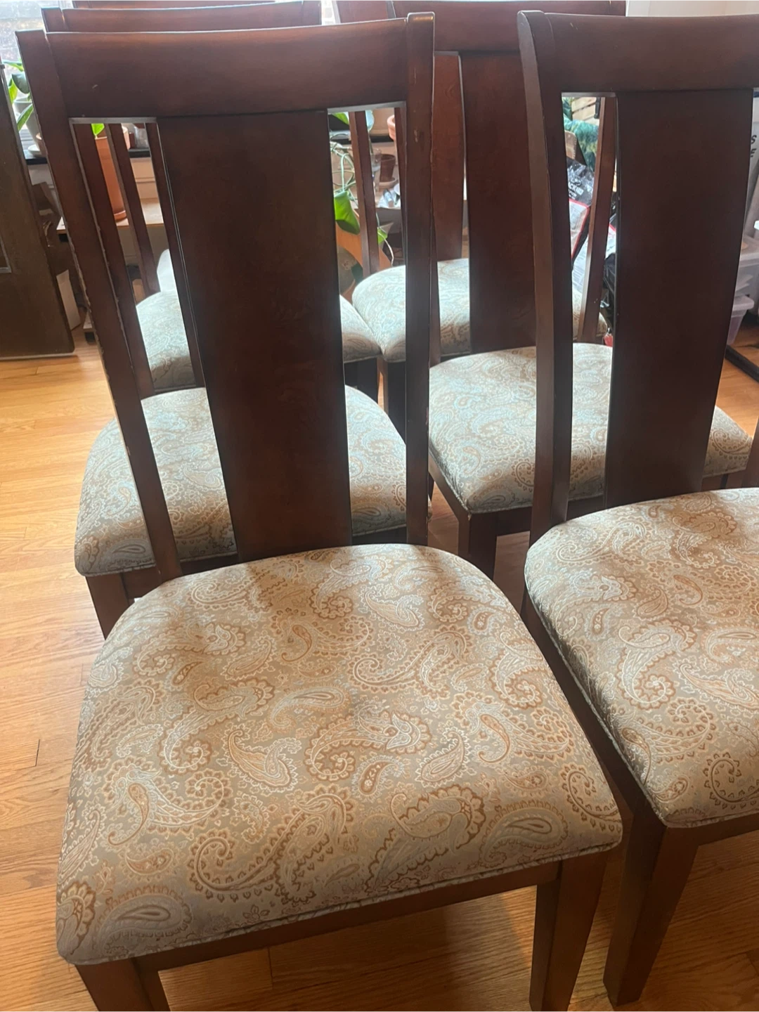 6 Dining Chairs - photo 3