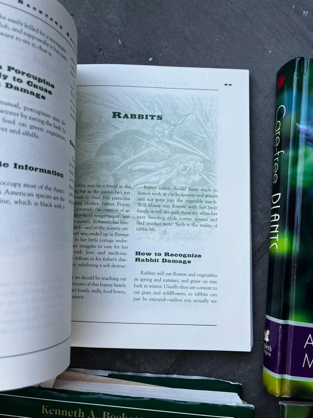 3 books + 1 magazine on Gardening image indicator(5)