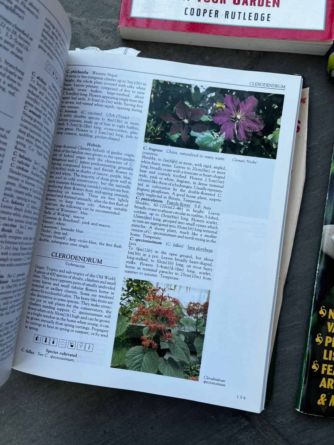 3 books + 1 magazine on Gardening image indicator(4)