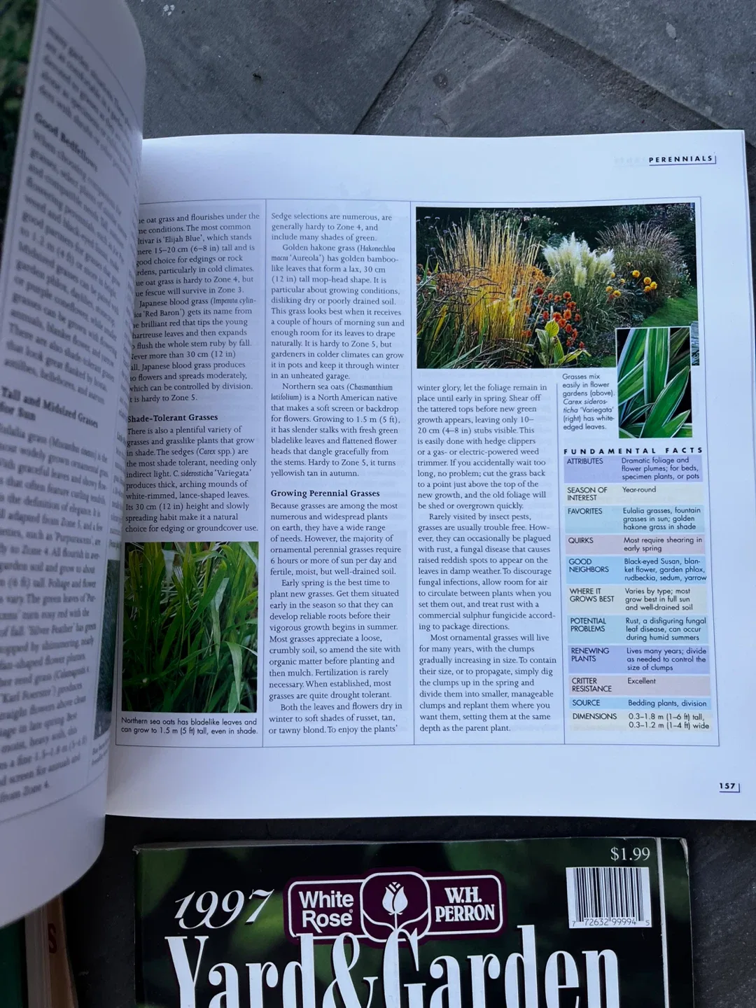 3 books + 1 magazine on Gardening image indicator(8)