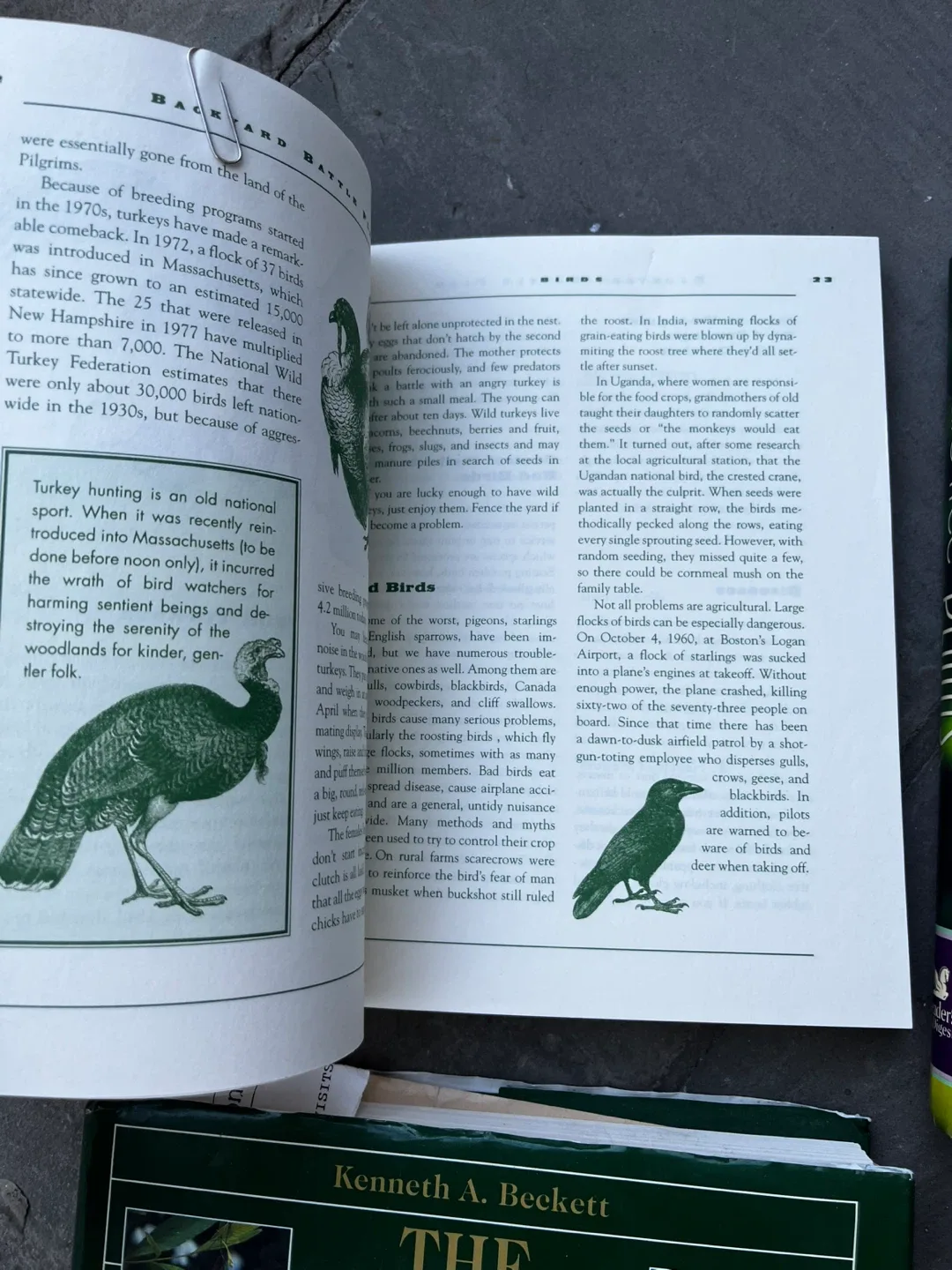 3 books + 1 magazine on Gardening image indicator(10)