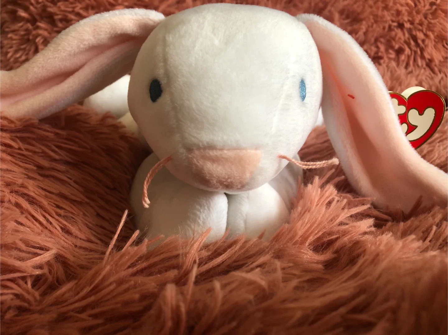 TY Beanie Baby Pillow Pals Collection Clover Bunny image indicator(2)