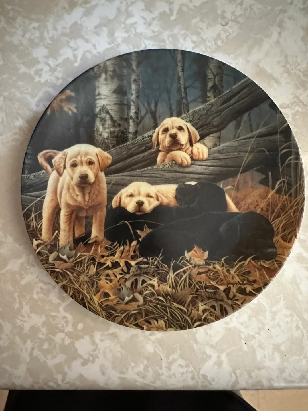 Bradford Exchange "Sweet Dreams" Collector Plate thumbnail