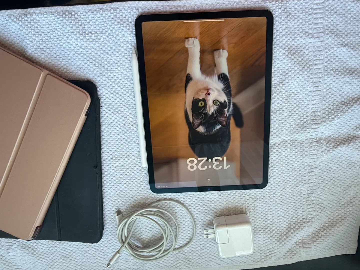 iPad Pro with Apple Pencil & Charger image indicator(5)