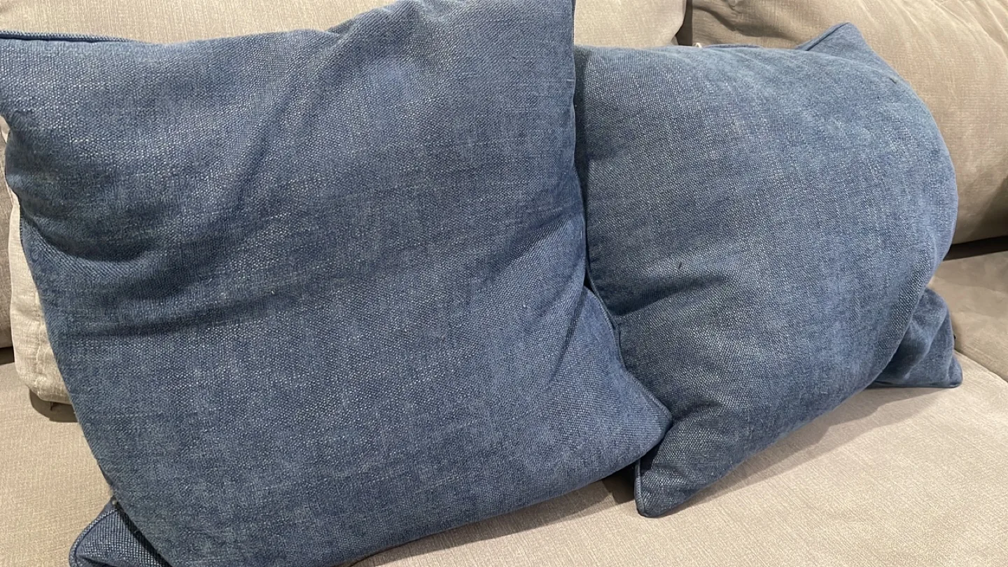 Blue Decorative Throw Pillows thumbnail