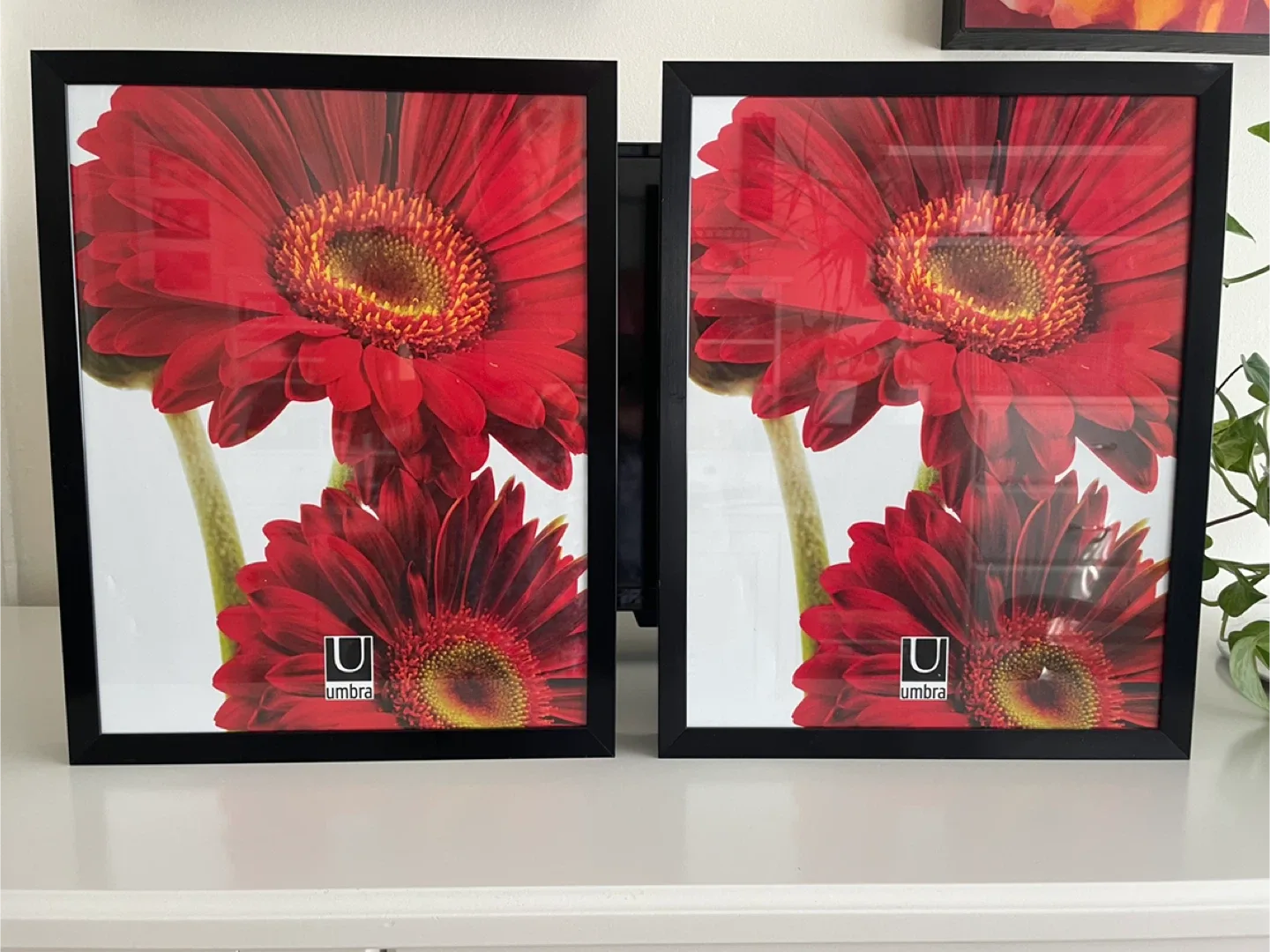 Umbra Black Picture Frames - Set of 2 thumbnail