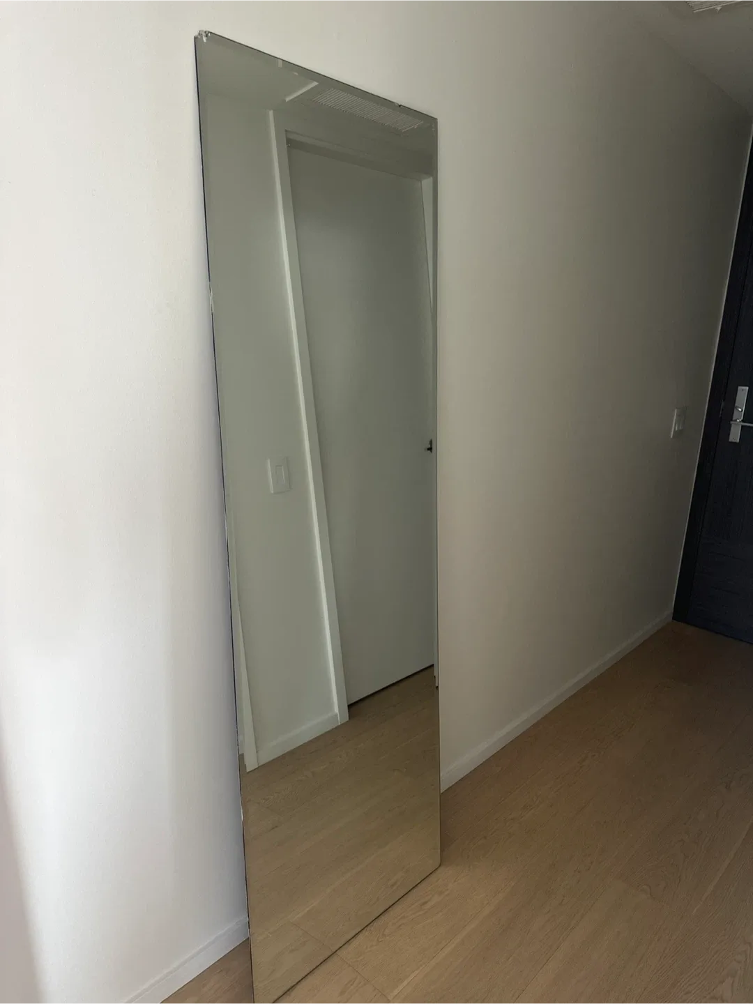 Full Length Mirror image indicator(3)