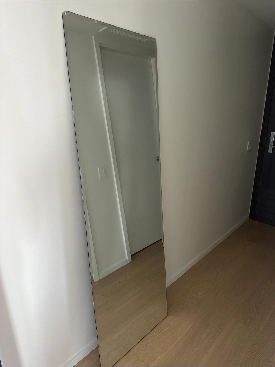 Full Length Mirror