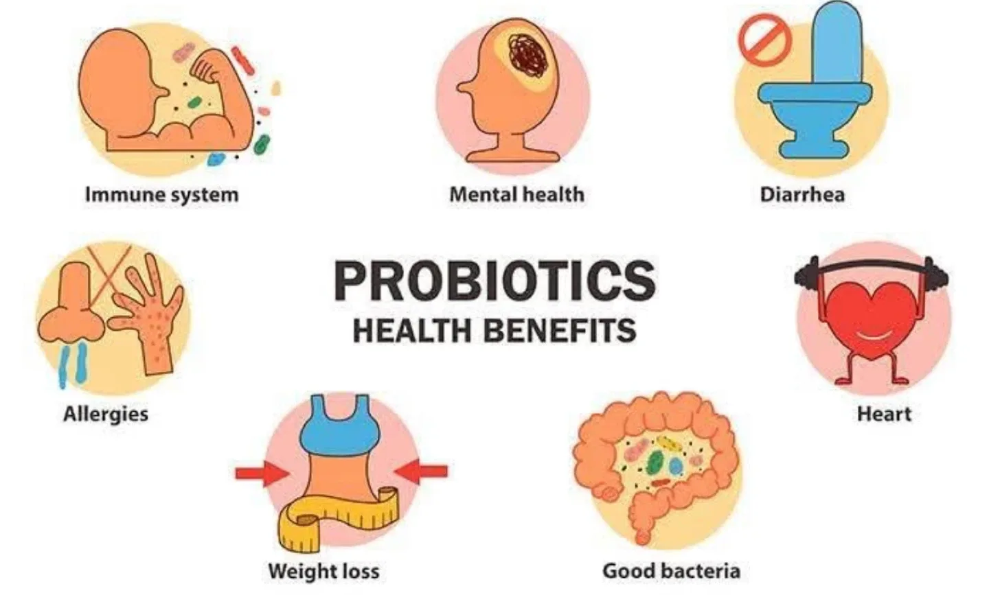 Atomy Probiotics - 60 Packets image indicator(4)