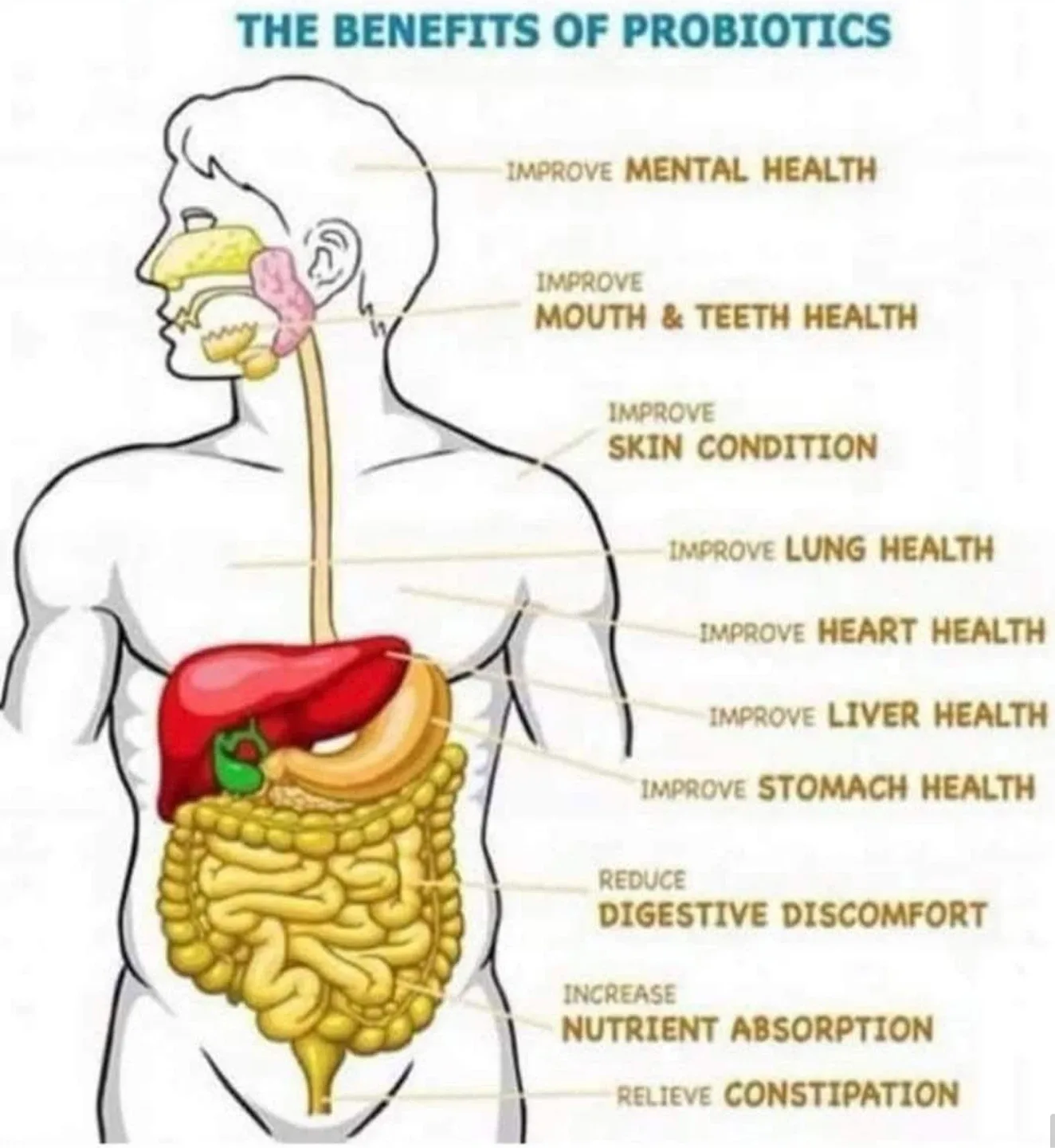 Atomy Probiotics - 60 Packets image indicator(3)