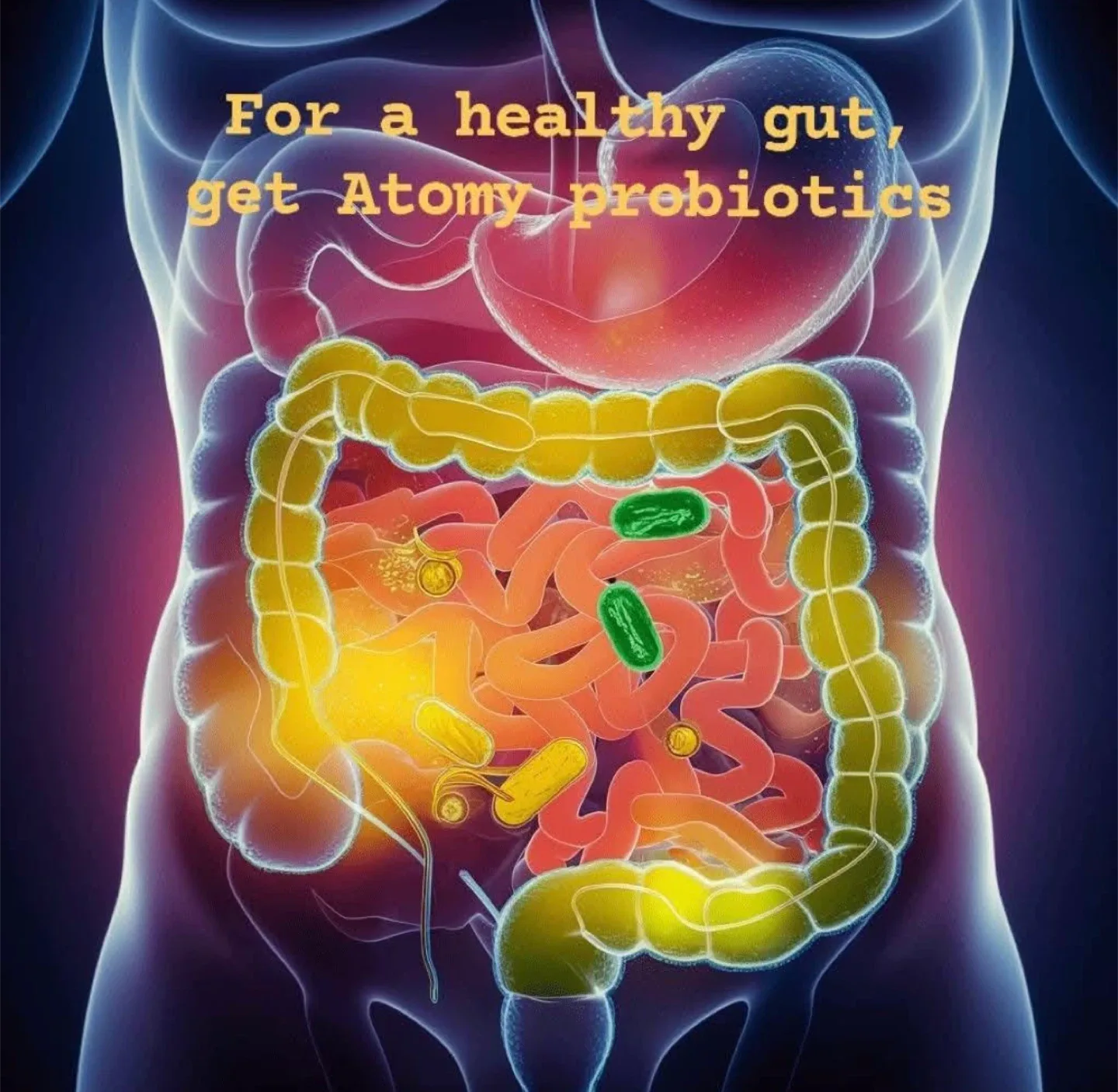 Atomy Probiotics - 60 Packets image indicator(5)