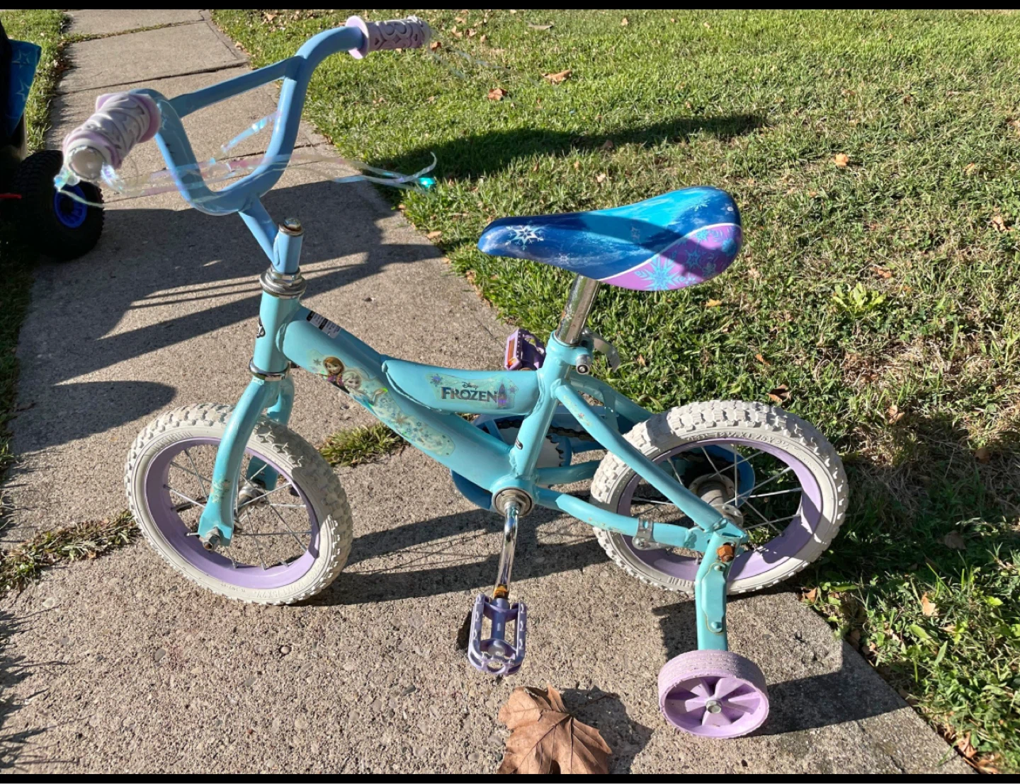Disney Frozen Kids' Bike - Great Condition!