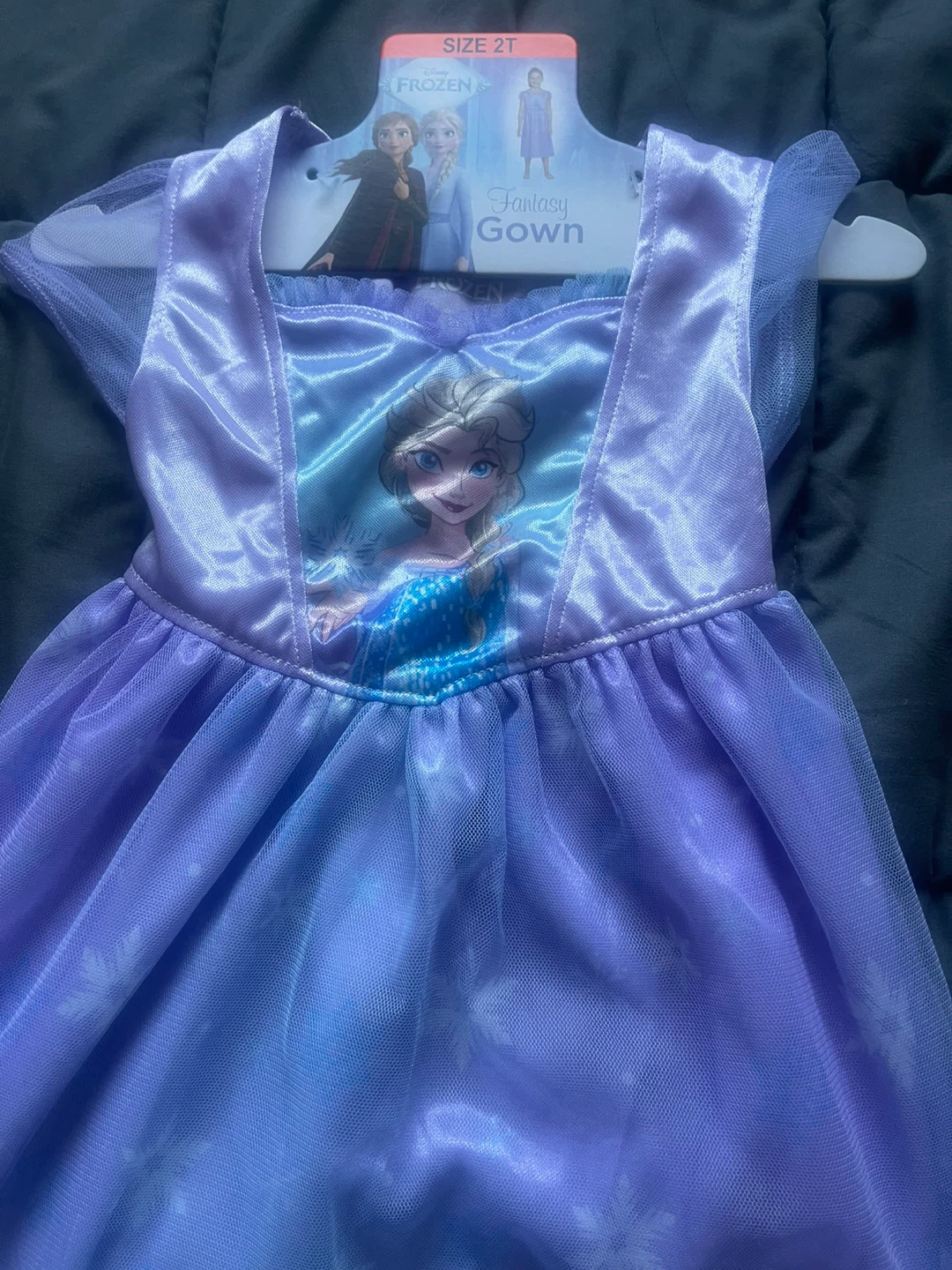 Disney Frozen Elsa Fantasy Gown - Size 2T