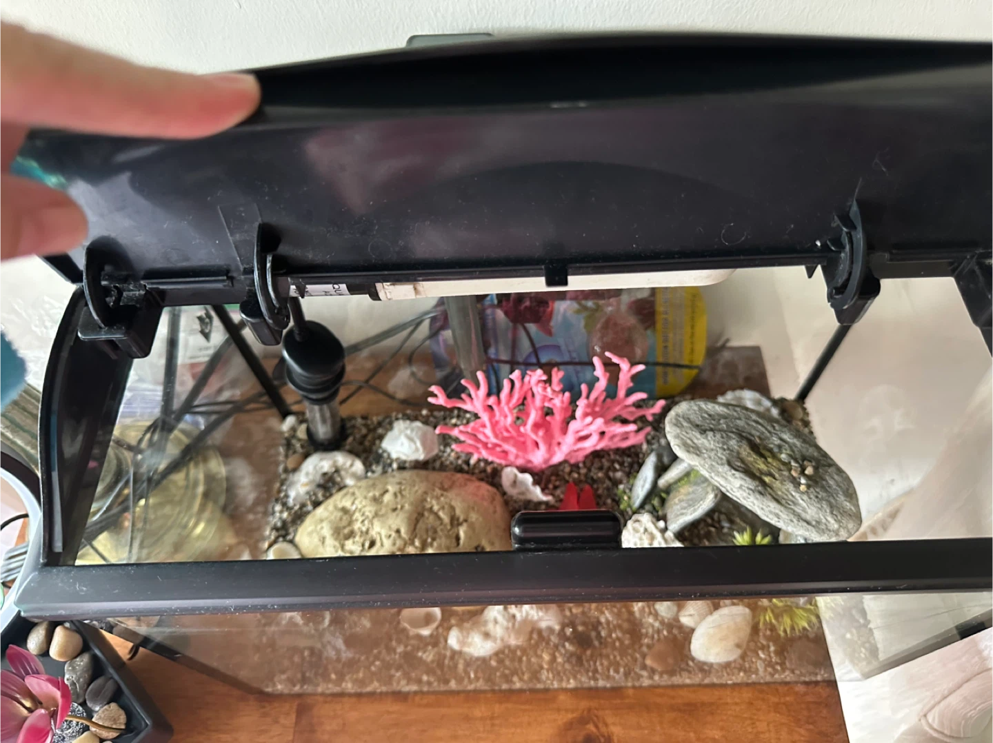 Elite Aquarium Tank with supplies - photo 2