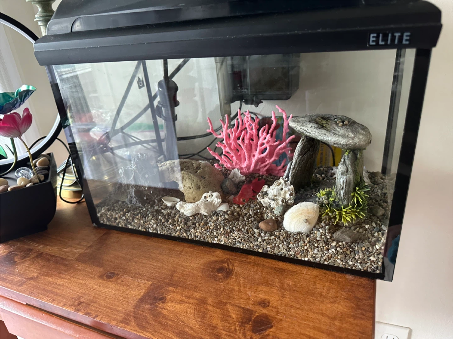Elite Aquarium Tank with supplies