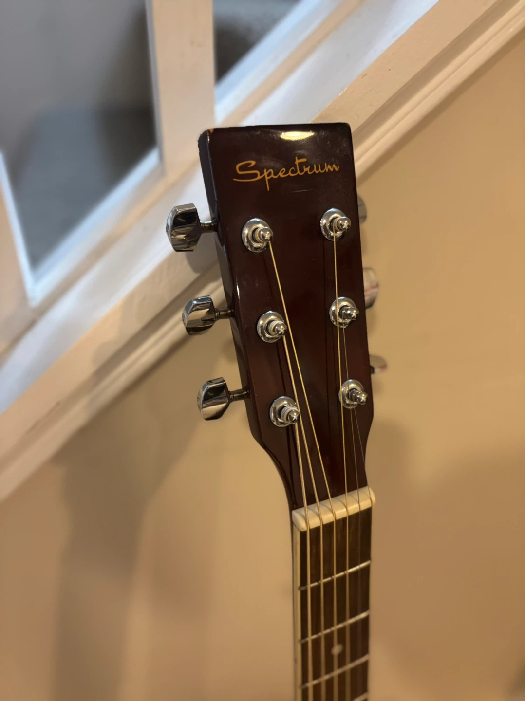 Spectrum Acoustic Guitar with Case - photo 2