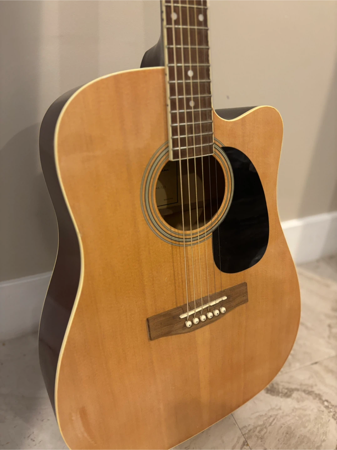 Spectrum Acoustic Guitar with Case