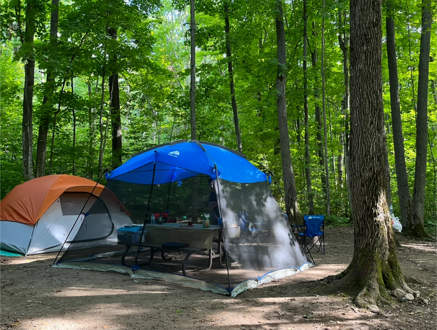 Ozark Trail Screen House, 13 x 9 ft - photo 2