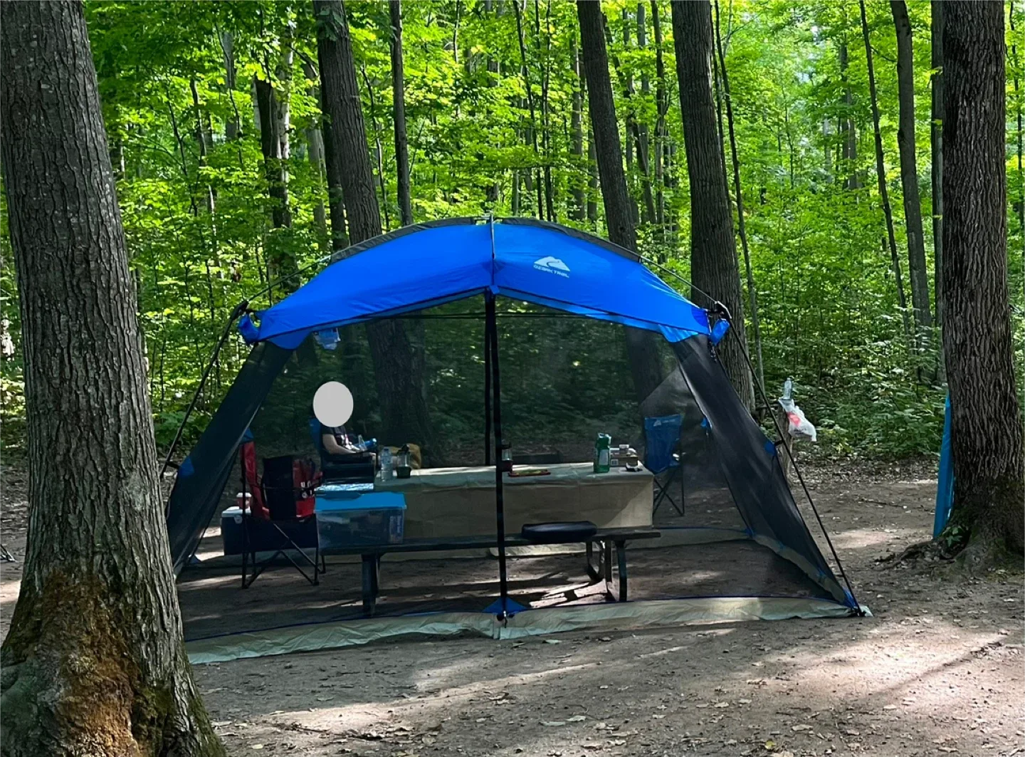 Ozark Trail Screen House, 13 x 9 ft thumbnail