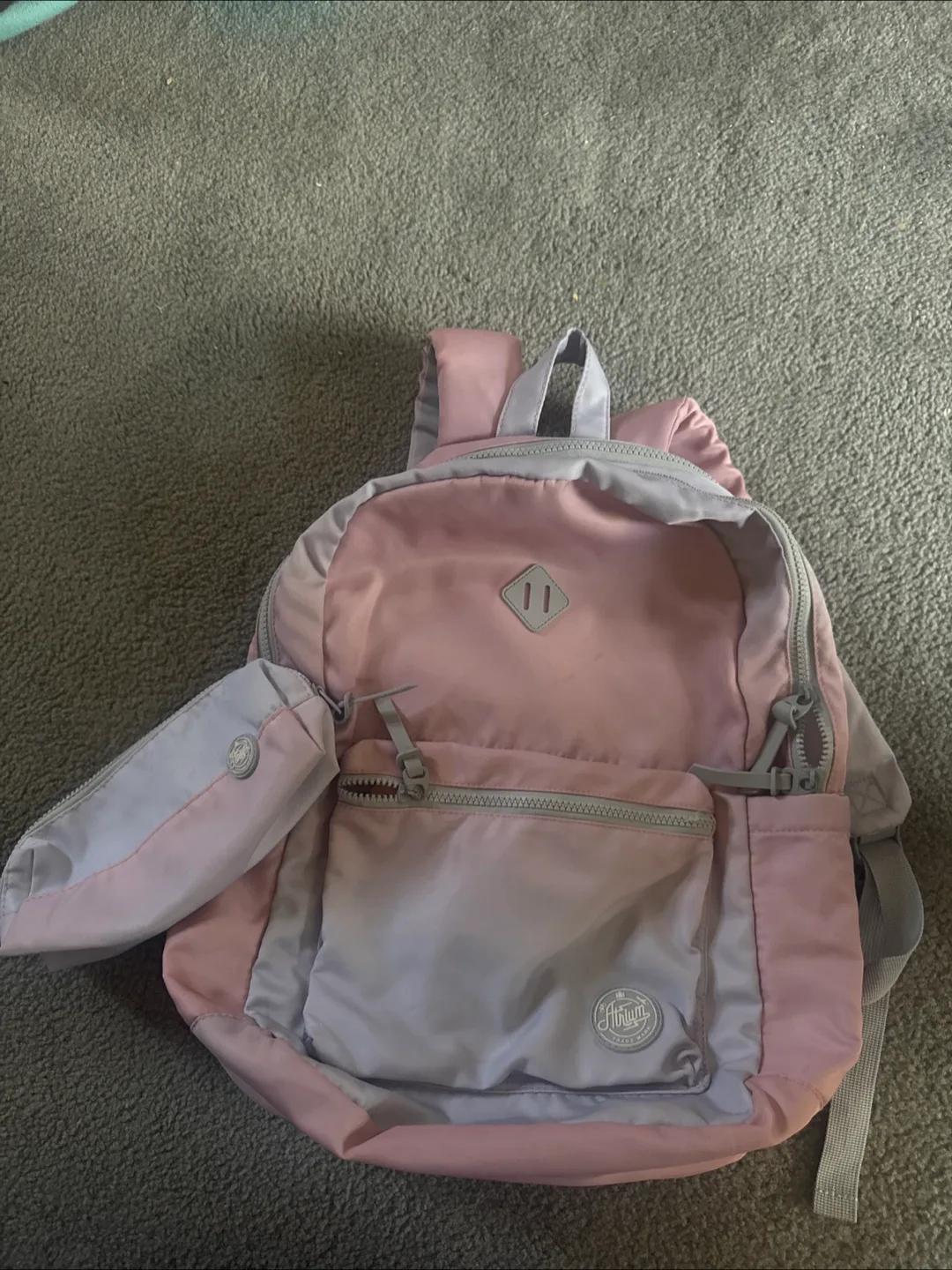 Aritzia school Backpack - excellent condition thumbnail