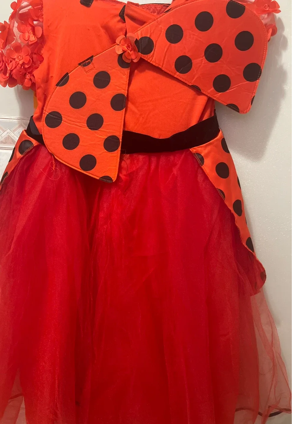 Hyde & EEK! Boutique Ladybug Costume - Size 4T image indicator(4)