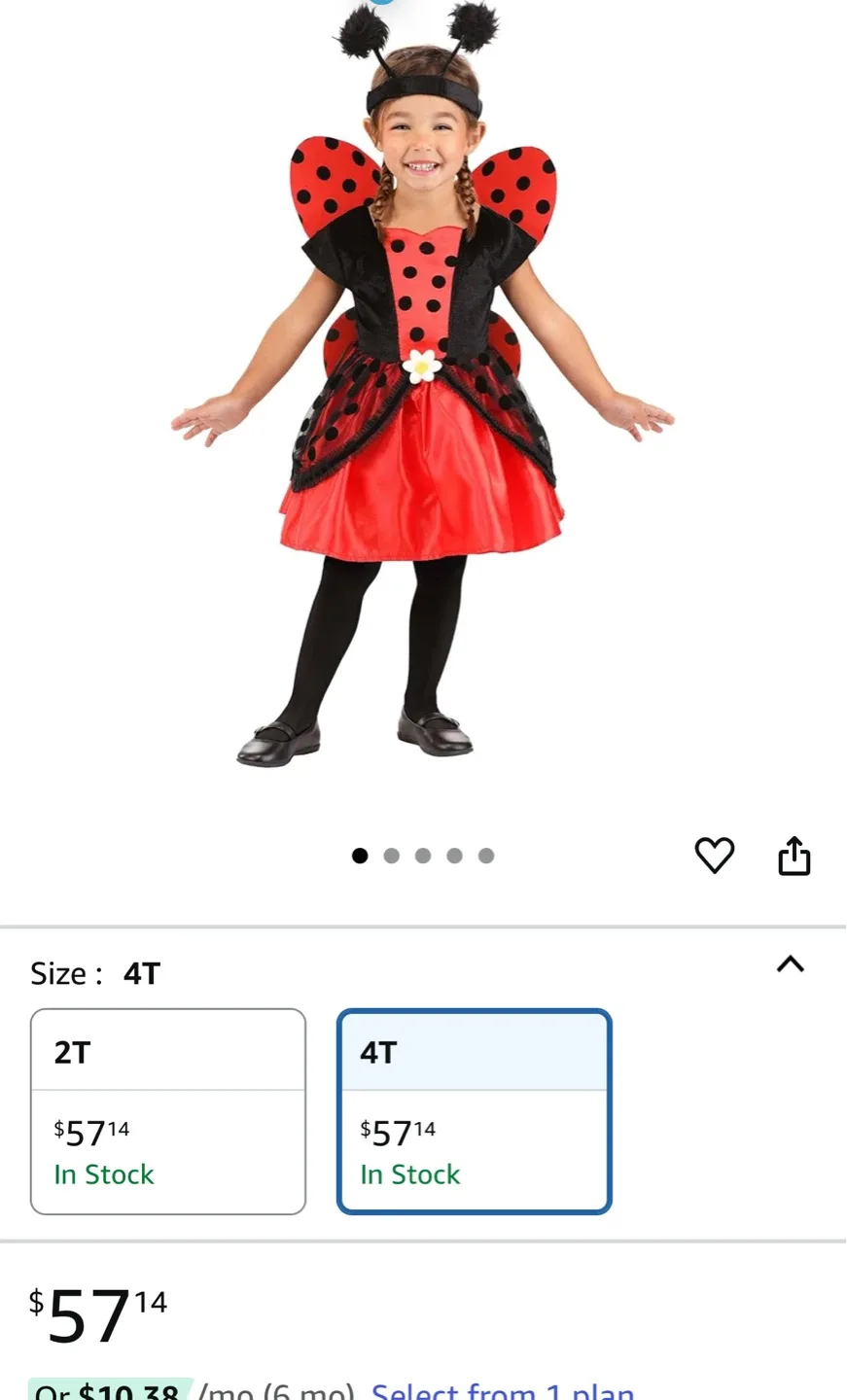 Hyde & EEK! Boutique Ladybug Costume - Size 4T image indicator(5)
