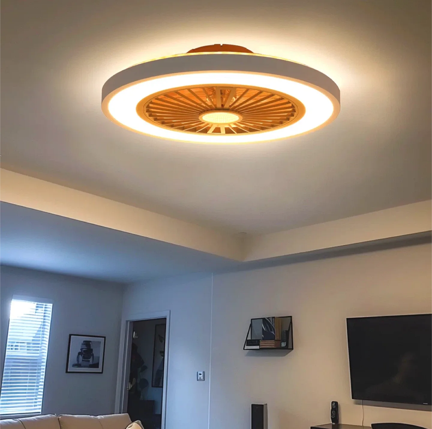 Kelman 22" Flush Mount Ceiling Fan w/ Light image indicator(3)