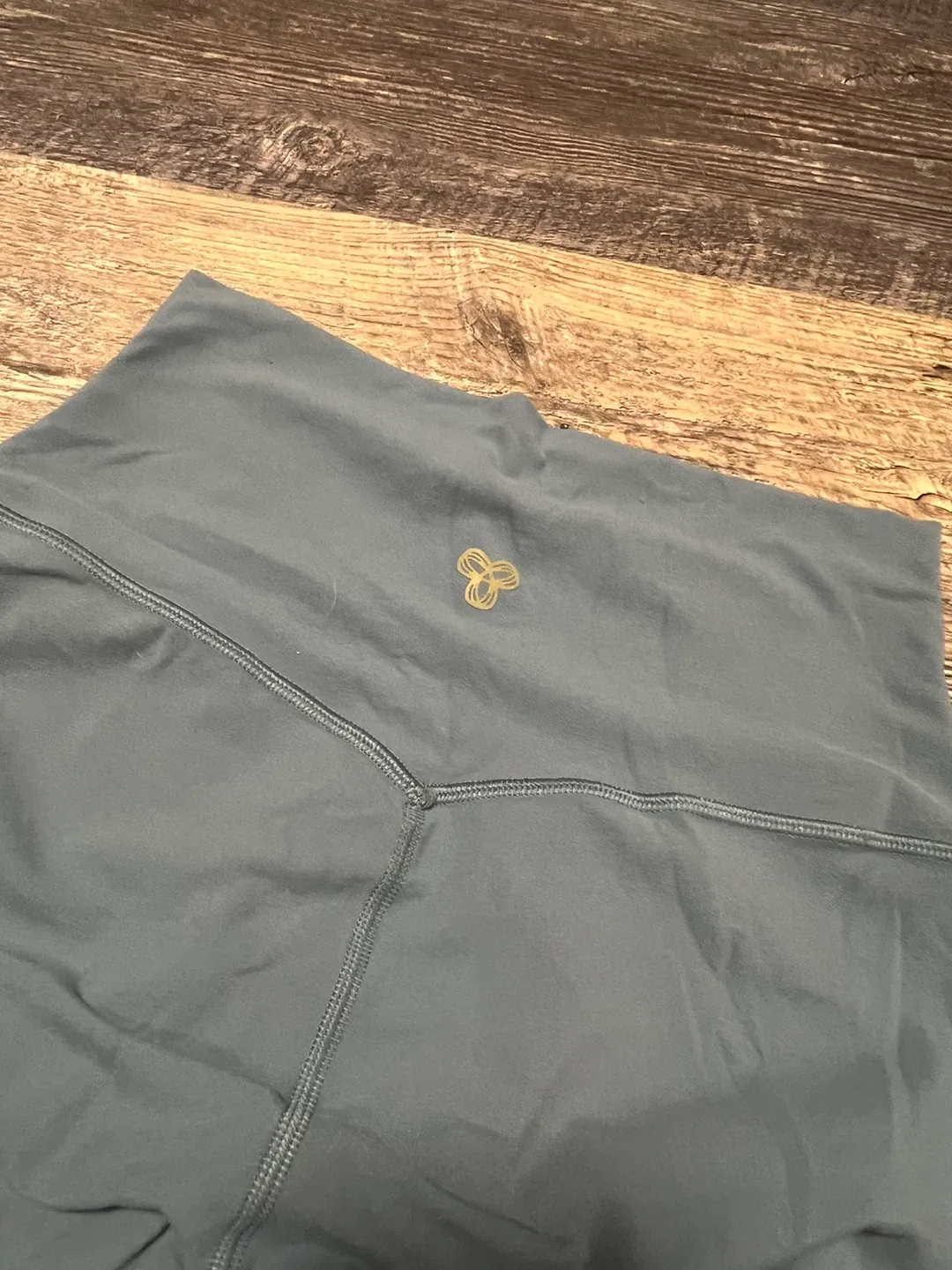 Aritzia Golden Leggings - Size 4 thumbnail