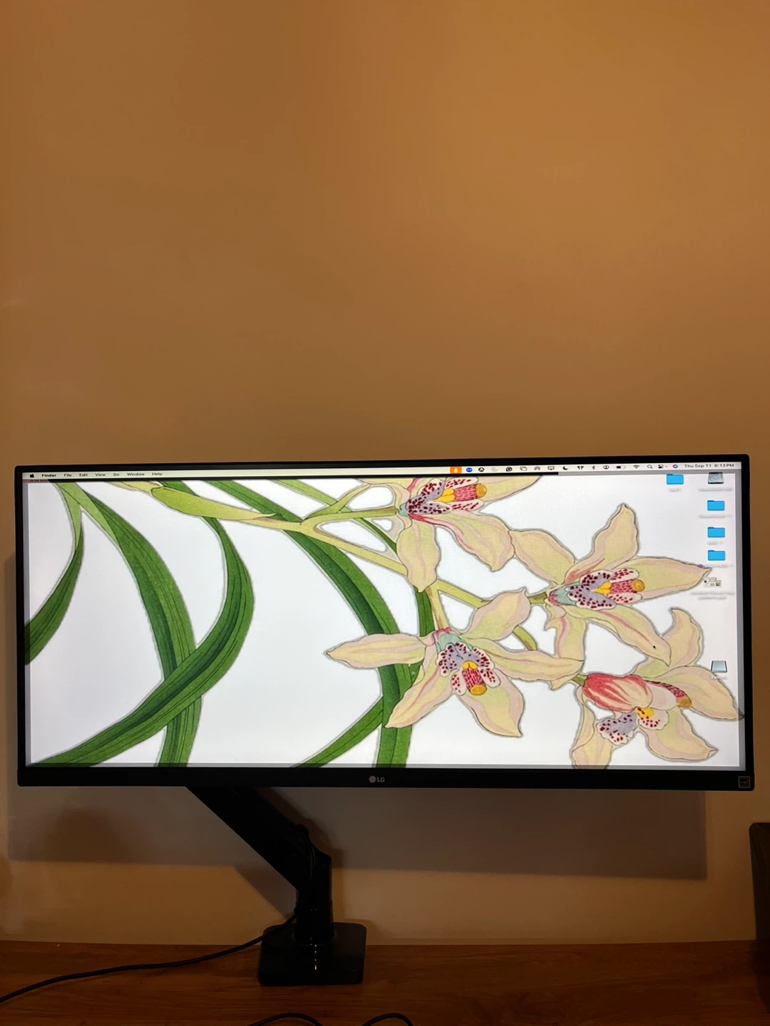 LG 27" Monitor with Ergo Stand