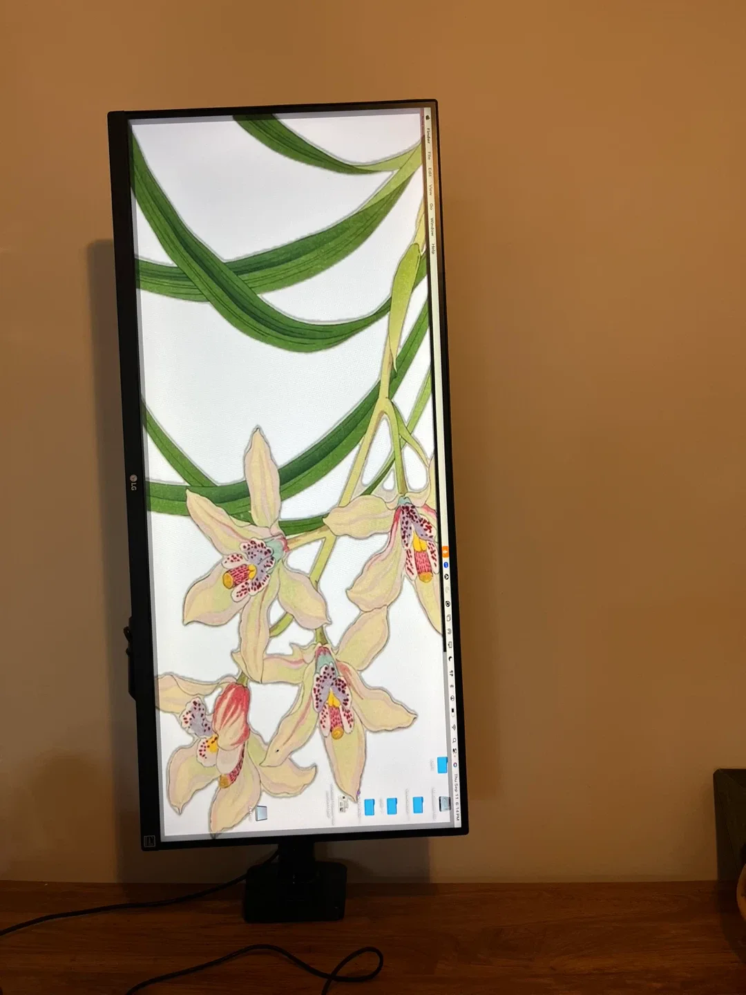 LG 27" Monitor with Ergo Stand image indicator(4)