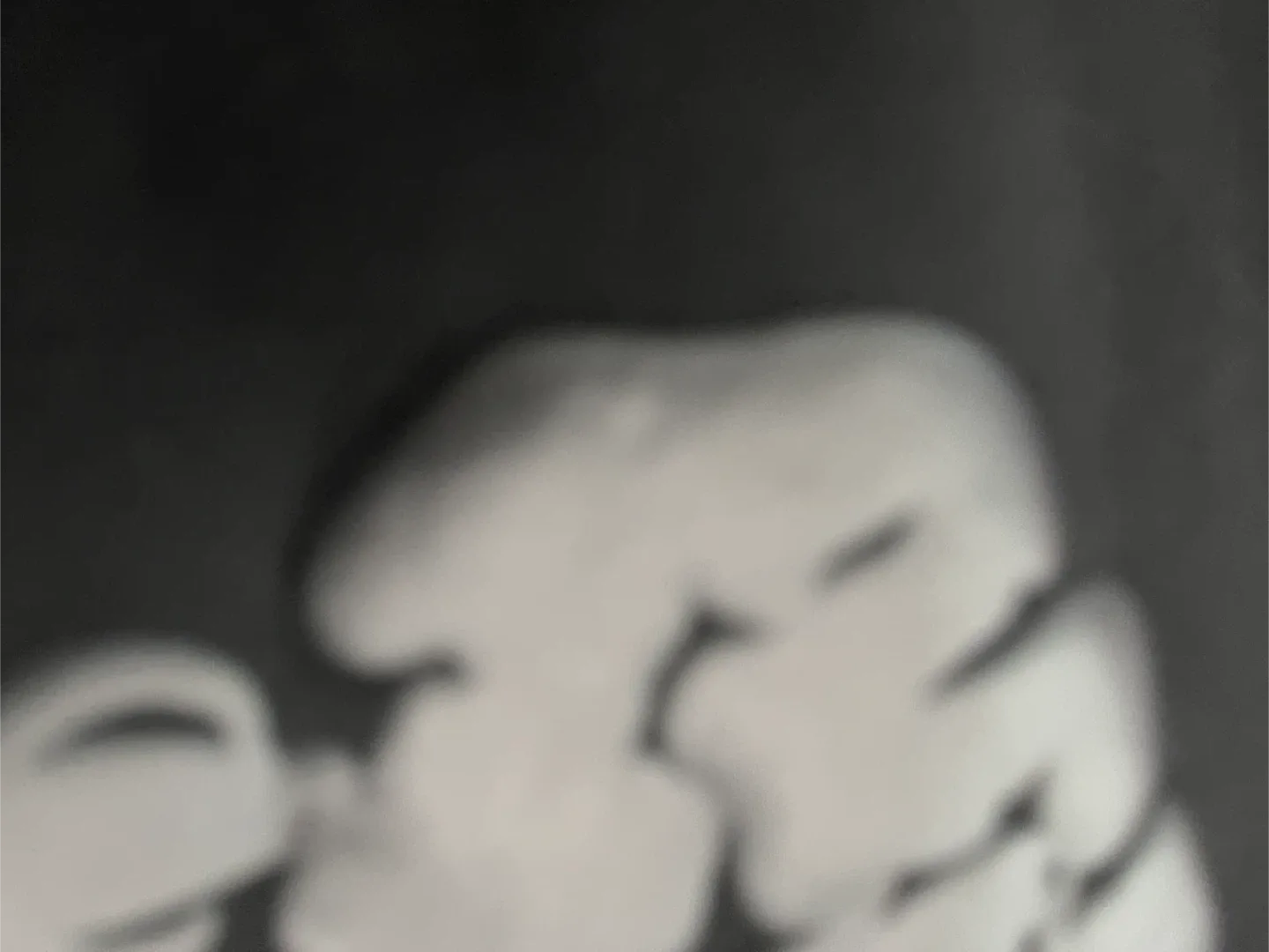 Denim Tears Black Hoodie image indicator(2)