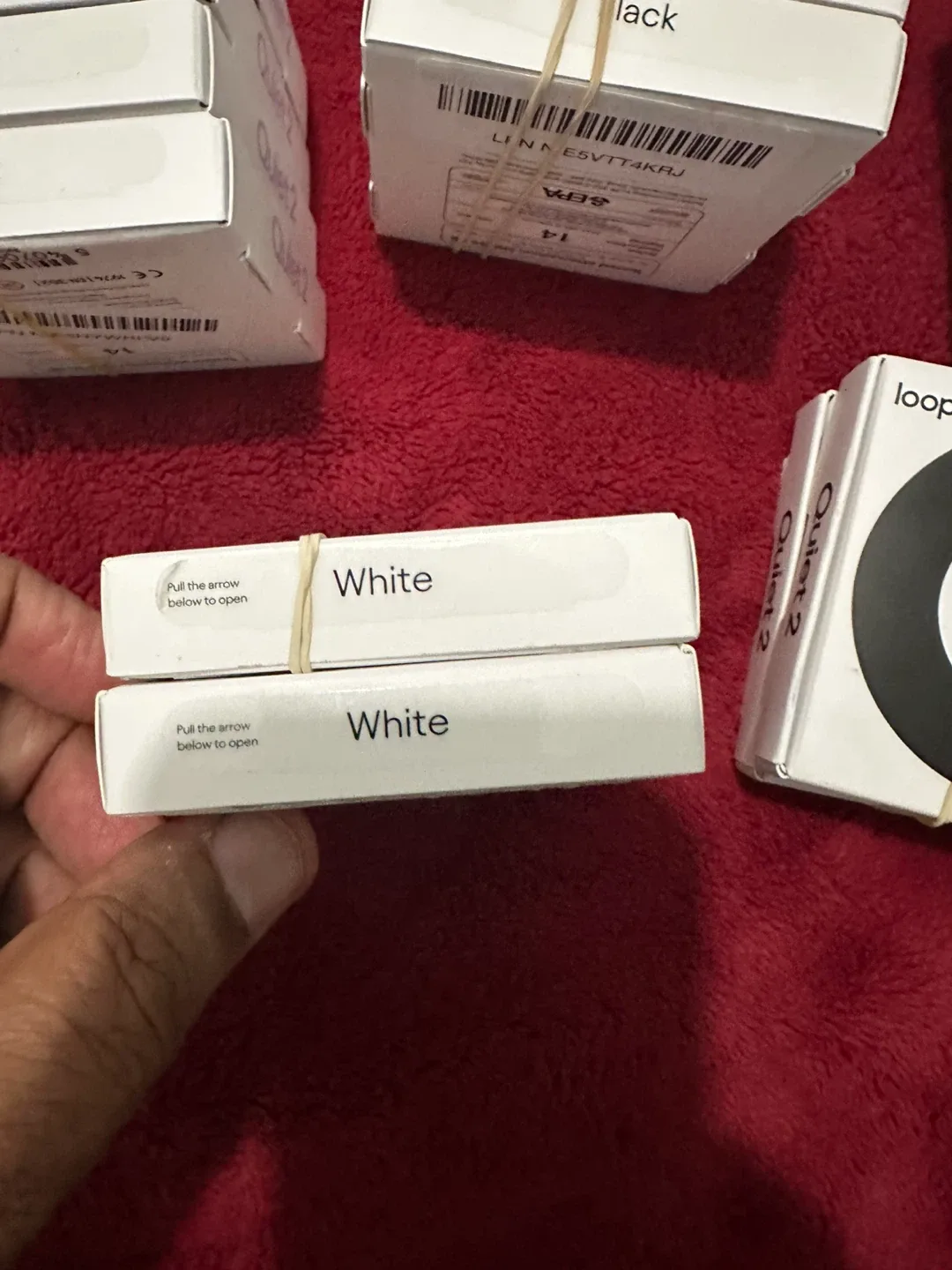 New Loop Quiet 2 Earplugs - Black, White, Violet image indicator(4)