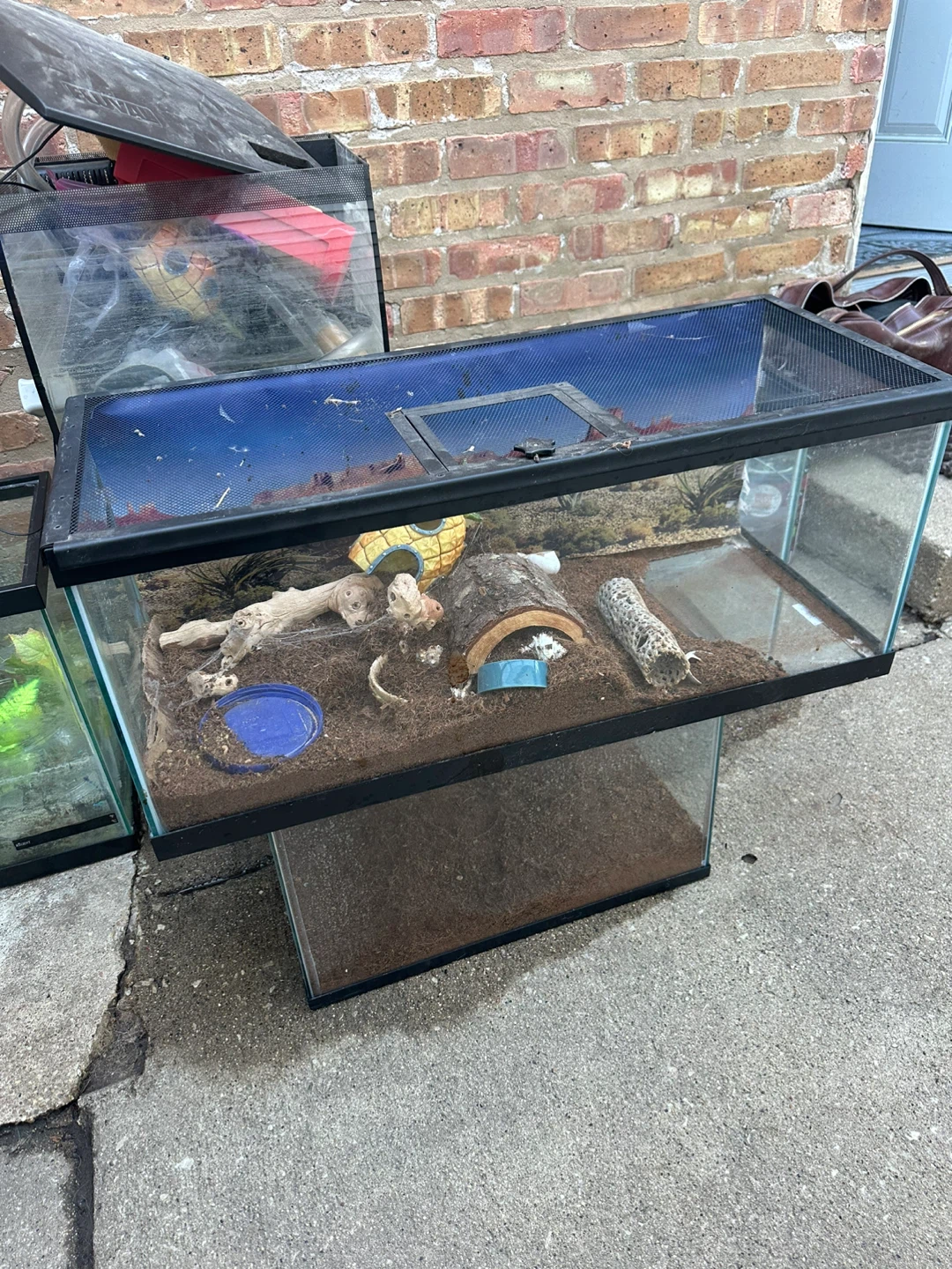 Reptile Terrarium Tank Enclosure 32x14x15 inch