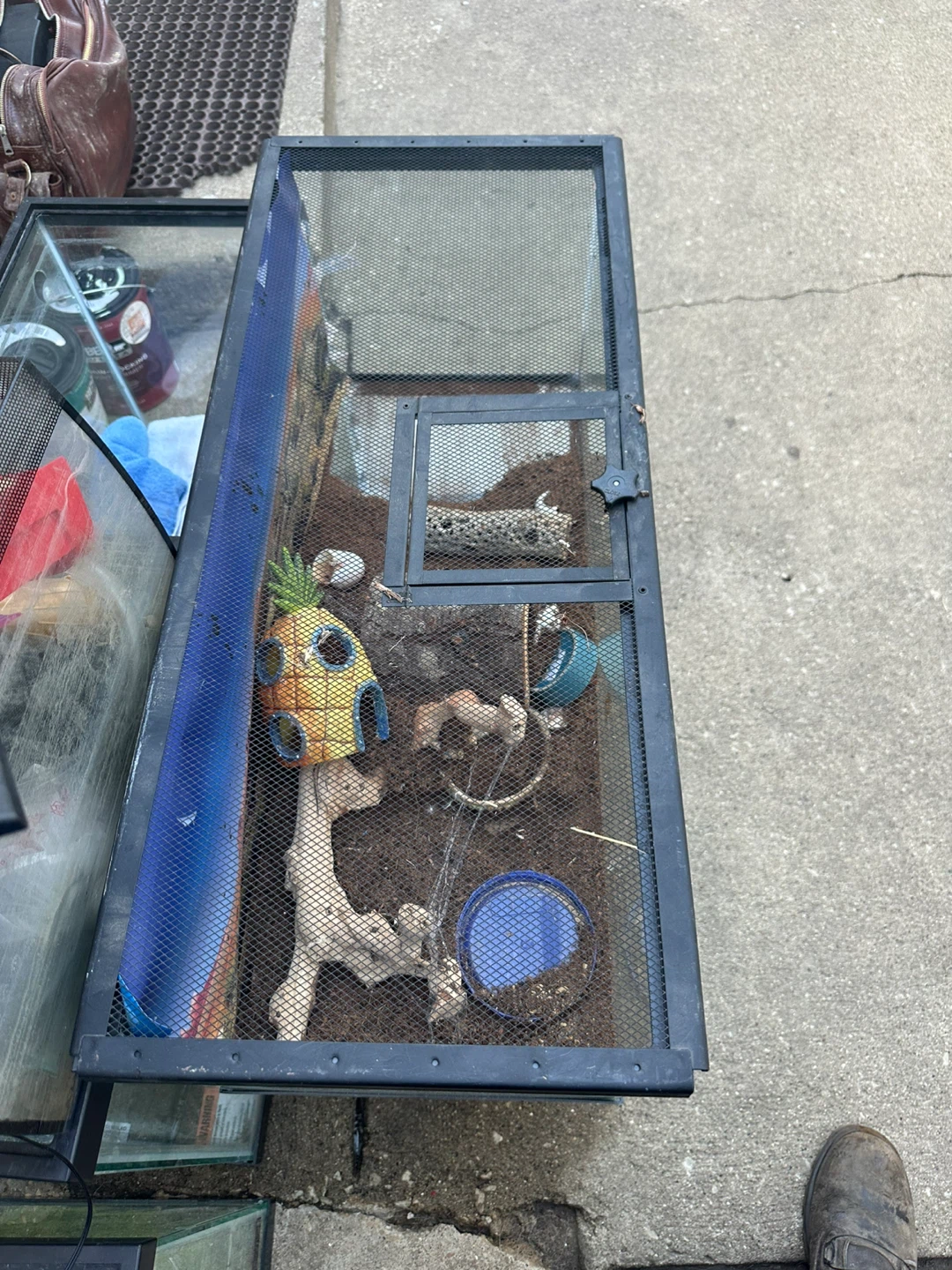 Reptile Terrarium Tank Enclosure 32x14x15 inch - photo 2