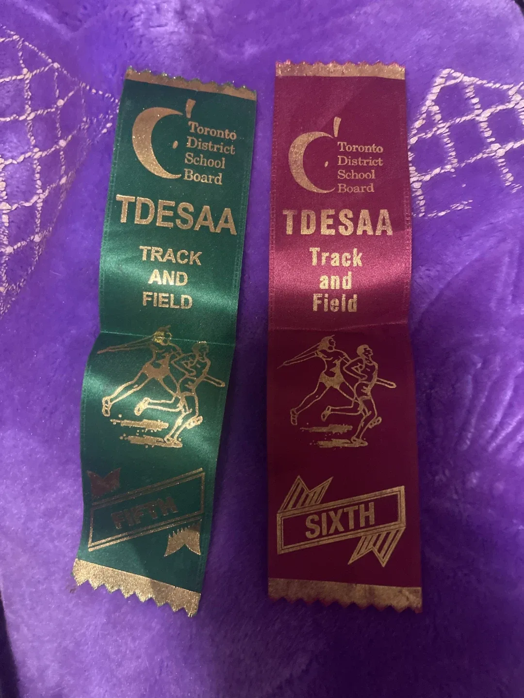 Toronto District School Board Track Ribbons thumbnail