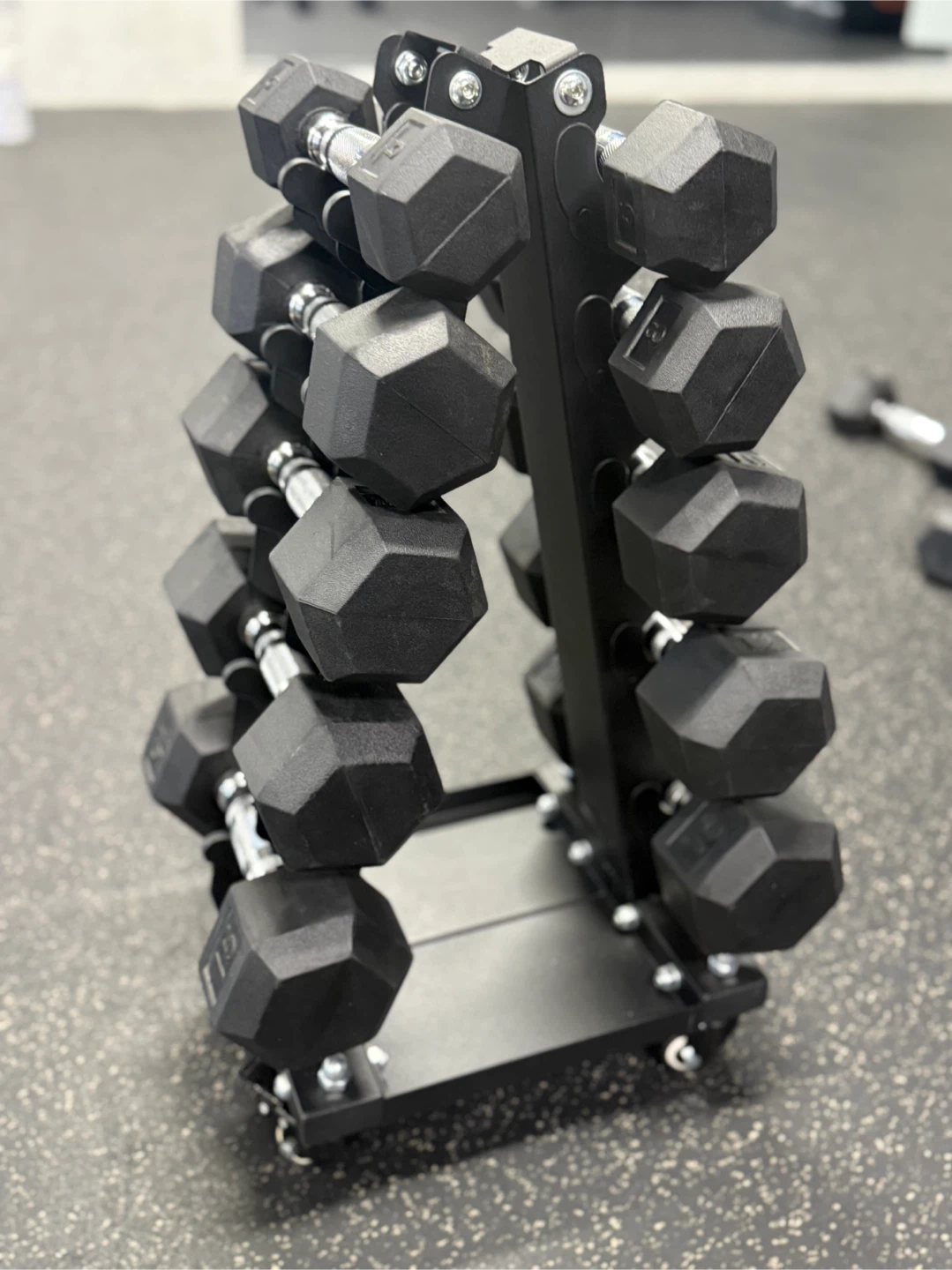 Dumbbell Set with Rack