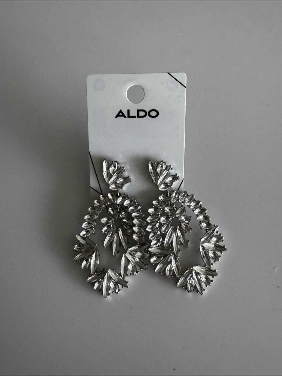 Aldo Fitzalan-973 Silver Earrings - New thumbnail