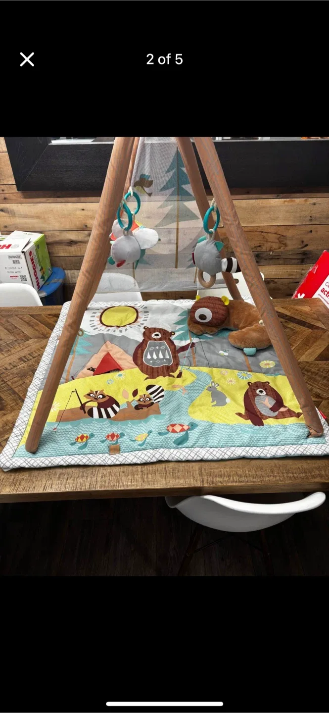 Skip Hop Camping Cubs Activity Gym & Playmat thumbnail