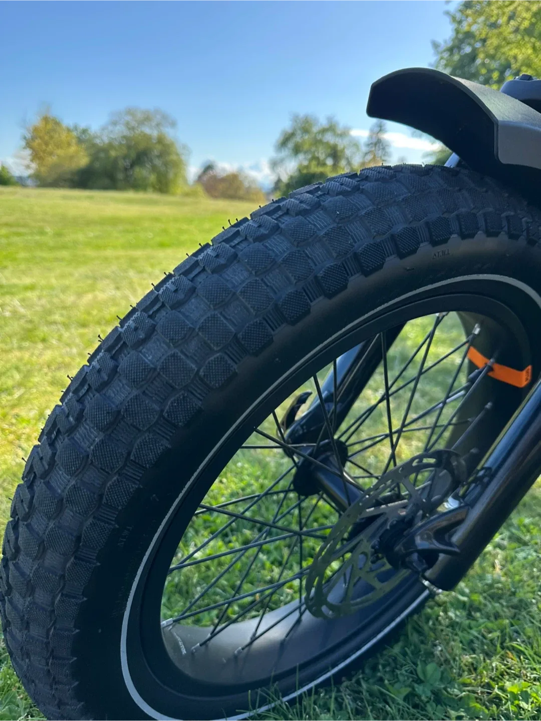 RadRunner 3 Plus Ebike image indicator(5)