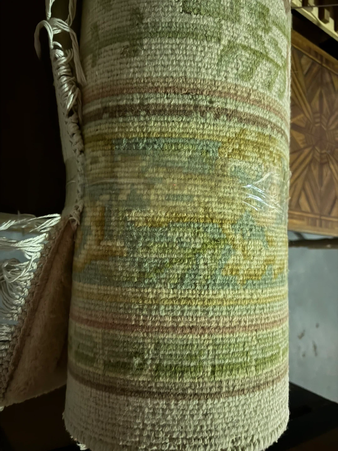 Rectangular Area Rug with Fringe
