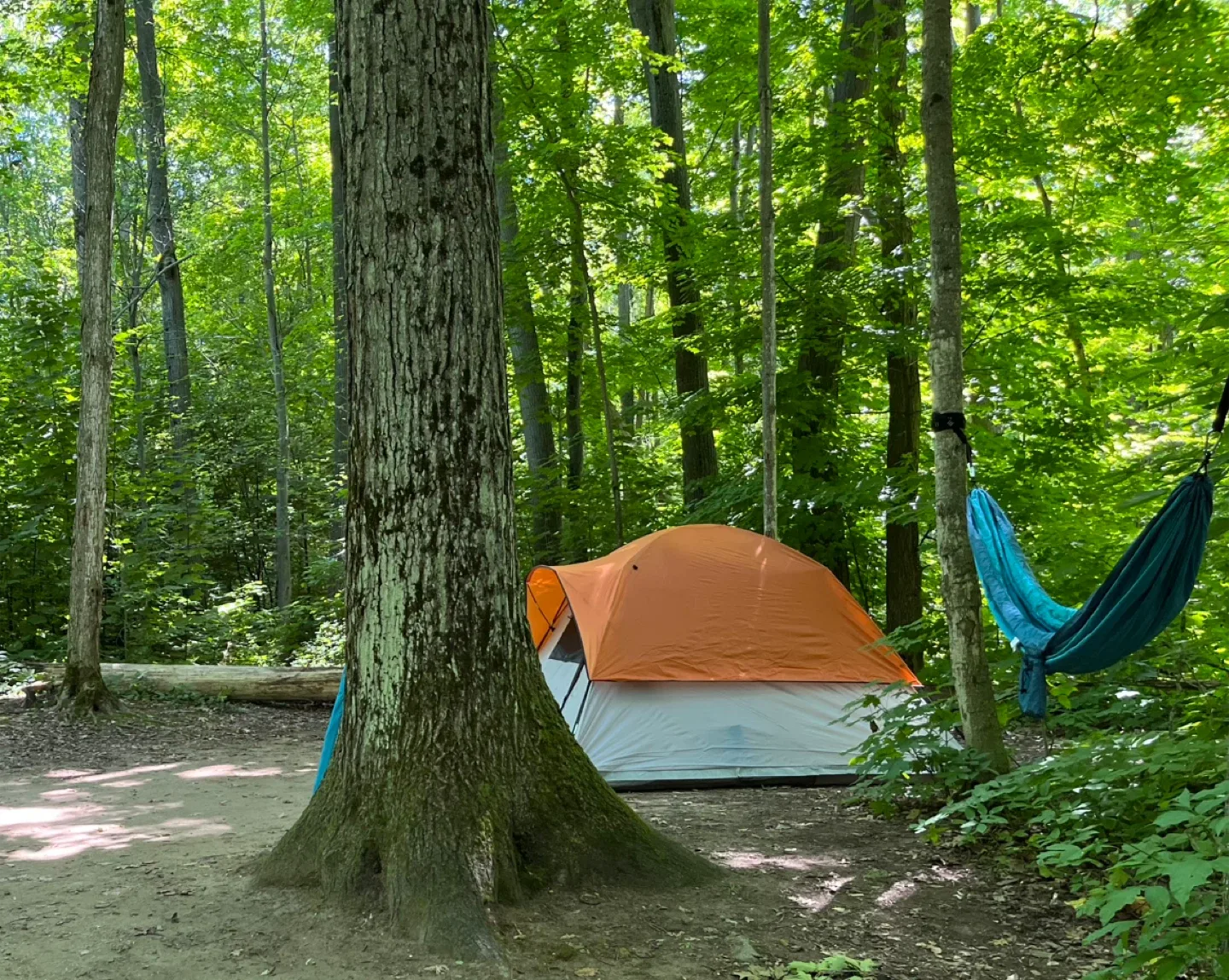 Ozark Trail 6-Person Dome Tent image indicator(4)