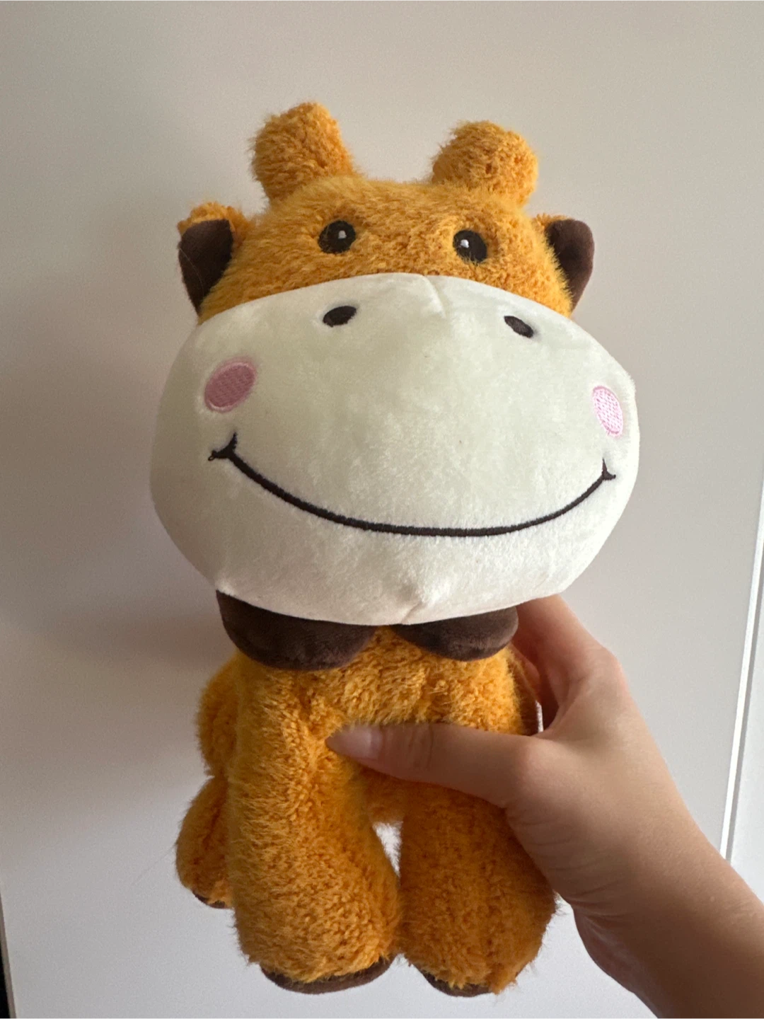 Giraffe Plush Toy - Soft and Cuddly!
