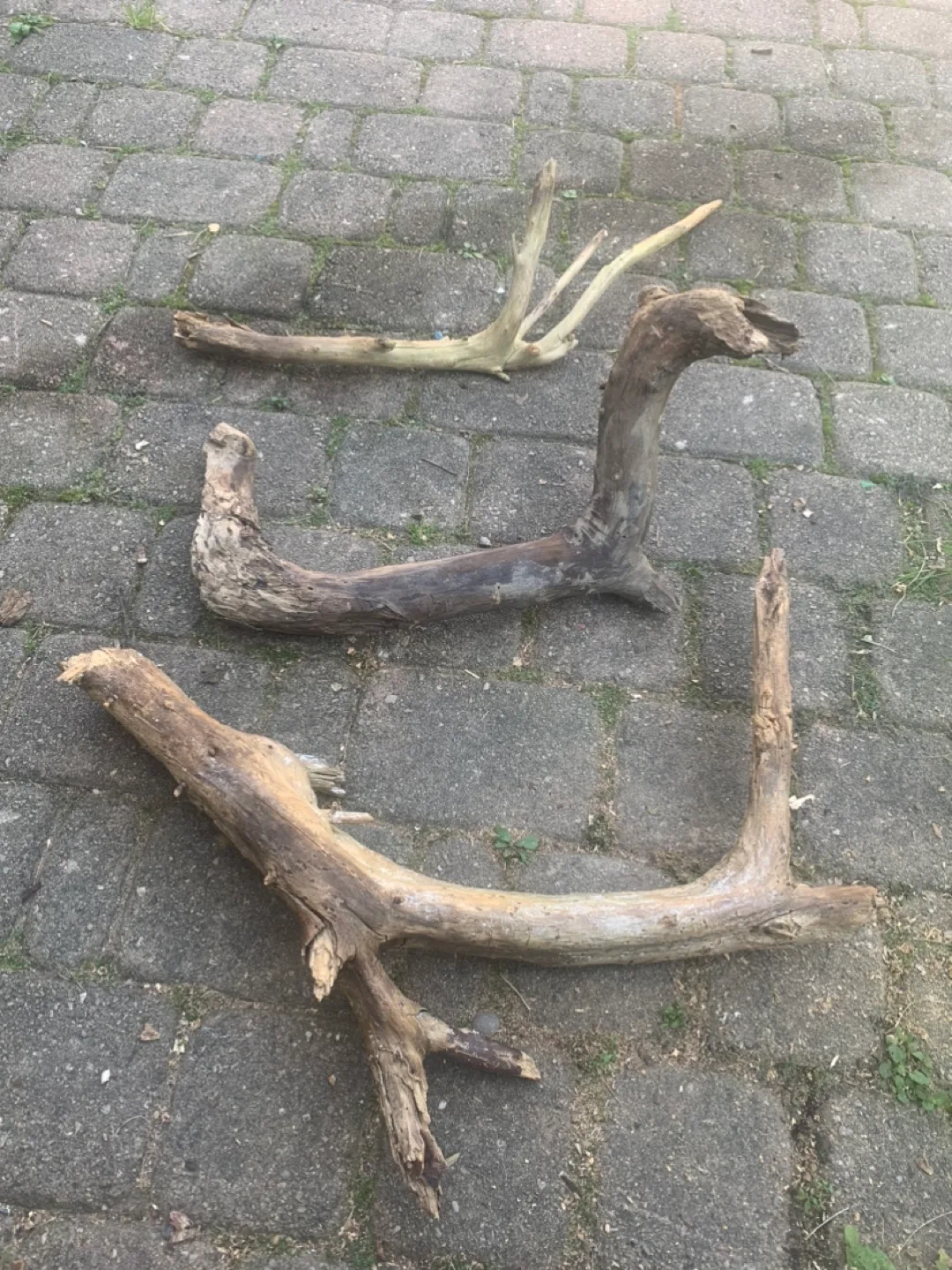 Driftwood Pieces thumbnail
