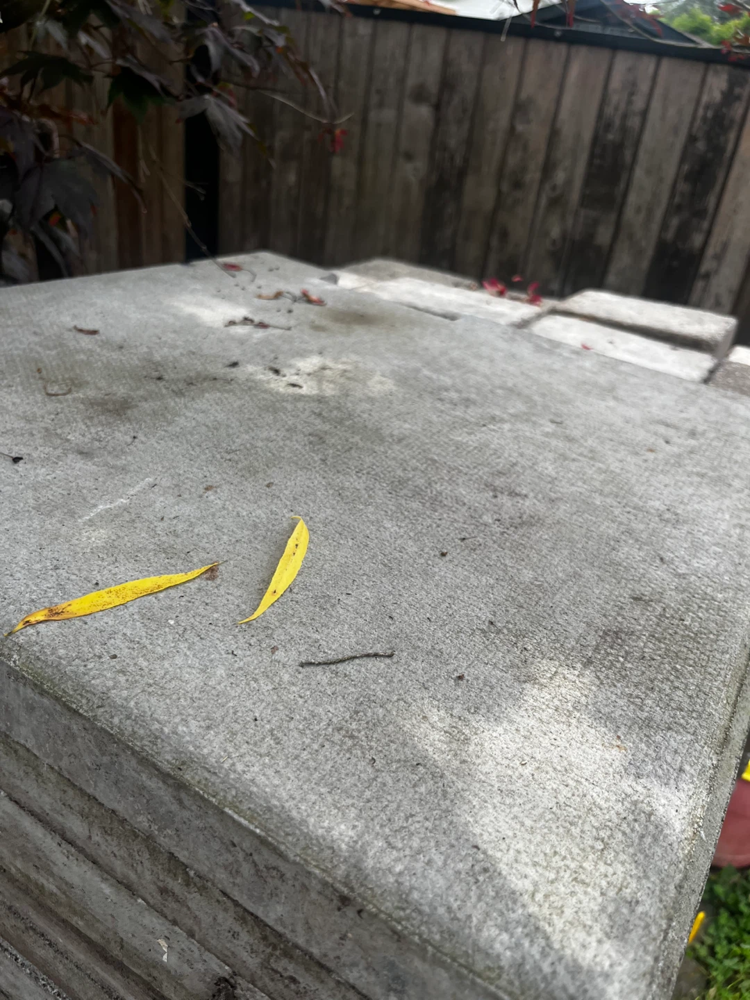 Concrete Paving Stones 24” - photo 5