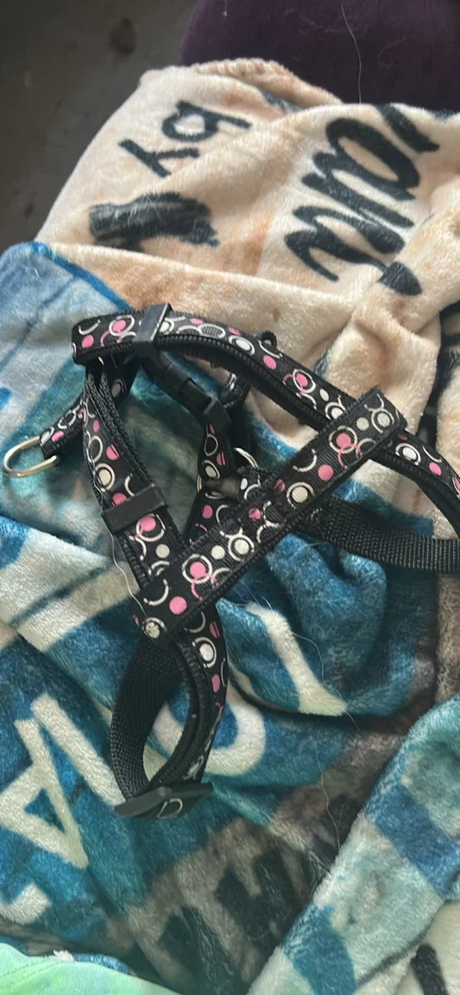 Dog Harness - Black with Pink/White Circles thumbnail