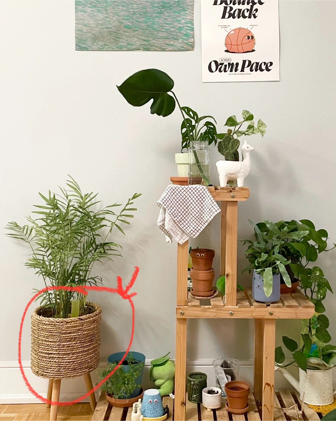 Plant Stand - photo 3
