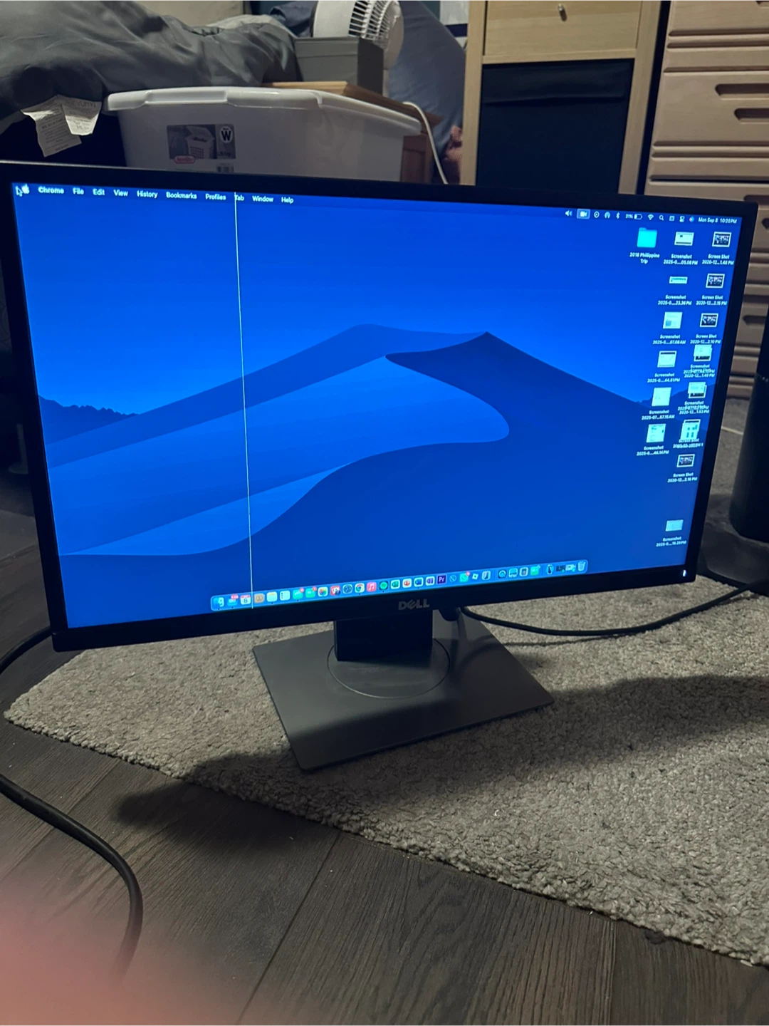 Dell Professional LCD 24 Inch Monitor