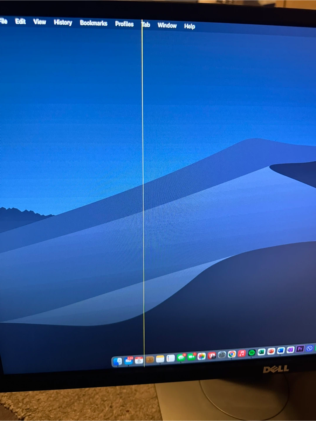 Dell Professional LCD 24 Inch Monitor - photo 2